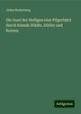 Julius Rodenberg: Die Insel der Heiligen eine Pilgerfahrt durch Irlands Städte, Dörfer und Ruinen, Buch