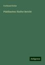 Ferdinand Keller: Pfahlbauten: fünfter Bericht, Buch