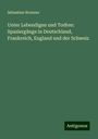 Sebastian Brunner: Unter Lebendigen und Todten: Spaziergänge in Deutschland, Frankreich, England und der Schweiz, Buch