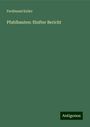 Ferdinand Keller: Pfahlbauten: fünfter Bericht, Buch
