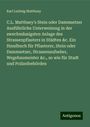 Karl Ludwig Matthaey: C.L. Matthaey's Stein oder Dammsetzer Ausführliche Unterweisung in der zwechmässigsten Anlage des Strassenpflasters in Städten &c. Ein Handbuch für Pflasterer, Stein oder Dammsetzer, Strassenaufseher, Wegebaumeister &c., so wie für Stadt und Polizeibehörden, Buch