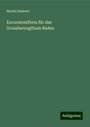 Moritz Seubert: Excursionsflora für das Grossherzogthum Baden, Buch