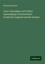 Sebastian Brunner: Unter Lebendigen und Todten: Spaziergänge in Deutschland, Frankreich, England und der Schweiz, Buch