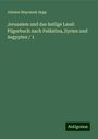 Johann Nepomuk Sepp: Sepp, J: Jerusalem und das heilige Land: Pilgerbuch nach Pal, Buch