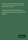 Theodore Thaddeus Sobieski Laidley: Report of the United States Board appointed to test iron, steel and other metals, Buch