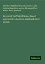 Theodore Thaddeus Sobieski Laidley: Report of the United States Board appointed to test iron, steel and other metals, Buch