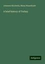 Johannes Blochwitz: A brief history of Turkey, Buch