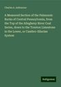 Charles A. Ashburner: A Measured Section of the Pal¿ozoic Rocks of Central Pennsylvania, from the Top of the Allegheny River Coal Series, down to the Trenton Limestone in the Lower, or Cambro-Silurian System, Buch