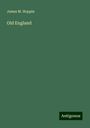 James M. Hoppin: Old England, Buch