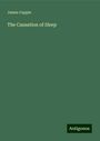 James Cappie: The Causation of Sleep, Buch