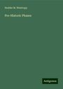Hodder M. Westropp: Pre-Historic Phases, Buch