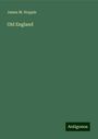 James M. Hoppin: Old England, Buch
