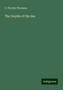 C. Wyville Thomson: The Depths of the Sea, Buch