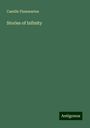 Camille Flammarion: Stories of Infinity, Buch