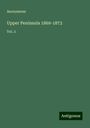 Anonymous: Upper Peninsula 1869-1873, Buch