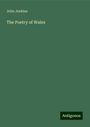 John Jenkins: The Poetry of Wales, Buch