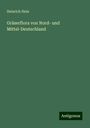 Heinrich Hein: Gräserflora von Nord- und Mittel-Deutschland, Buch