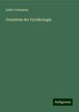 Isidor Cohnstein: Grundriss der Gynäkologie, Buch