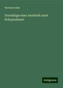 Hermann Klee: Grundzüge einer Aesthetik nach Schopenhauer, Buch