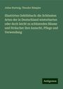 Julius Hartwig: Illustrirtes Gehölzbuch: die Schönsten Arten der in Deutschland winterharten oder doch leicht zu schüzenden Bäume und Sträucher ihre Anzucht, Pflege und Verwendung, Buch