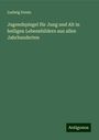 Ludwig Donin: Jugendspiegel für Jung und Alt in heiligen Lebensbildern aus allen Jahrhunderten, Buch