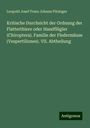 Leopold Josef Franz Johann Fitzinger: Kritische Durchsicht der Ordnung der Flatterthiere oder Handflügler (Chiroptera). Familie der Fledermäuse (Vespertiliones). VII. Abtheilung, Buch