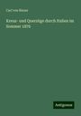 Carl Von Binzer: Kreuz- und Querzüge durch Italien im Sommer 1876, Buch