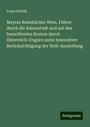 Franz Stehlik: Meyers Reisebücher Wien, Führer durch die Kaiserstadt und auf den besuchtesten Routen durch Österreich-Ungarn unter besonderer Berücksichtigung der Welt-Ausstellung, Buch