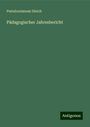 Pestalozzianum Zürich: Pädagogischer Jahresbericht, Buch