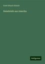 Ernst Erbach-Erbach: Reisebriefe aus Amerika, Buch