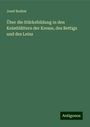 Josef Boehm: Über die Stärkebildung in den Keimblättern der Kresse, des Rettigs und des Leins, Buch