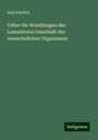 Emil Ponfick: Ueber die Wandlungen des Lammblutes innerhalb des menschelichen Organismus, Buch