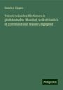 Heinrich Köppen: Verzeichniss der Idiotismen in plattdeutscher Mundart, volksthümlich in Dortmund und dessen Umgegend, Buch