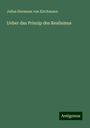 Julius Hermann Von Kirchmann: Ueber das Prinzip des Realismus, Buch