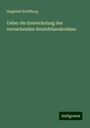 Siegfried Wolffberg: Ueber die Entwickelung des vernarbenden Brustdrüsenkrebses, Buch