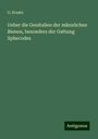 G. Kraatz: Ueber die Genitalien der männlichen Bienen, besonders der Gattung Sphecodes, Buch