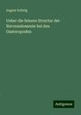 August Solbrig: Ueber die feinere Structur der Nervenelemente bei den Gasteropoden, Buch