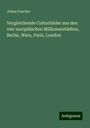 Julius Faucher: Vergleichende Culturbilder aus den vier europäischen Millionenstädten, Berlin, Wien, Paris, London, Buch