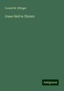 Conrad M. Effinger: Unser Heil in Christo, Buch