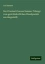 Carl Emmert: Der Criminal-Process Demme-Trümpy: vom gerichtsärztlichen Standpunkte aus dargestellt, Buch