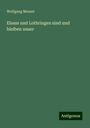 Wolfgang Menzel: Elsass und Lothringen sind und bleiben unser, Buch