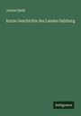 Johann Riedl: Kurze Geschichte des Landes Salzburg, Buch