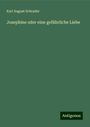 Karl August Schrader: Josephine oder eine gefährliche Liebe, Buch