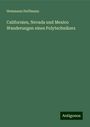 Hemmann Hoffmann: Californien, Nevada und Mexico Wanderungen eines Polytechnikers, Buch