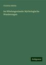 Christian Mehlis: Im Nibelungenlande: Mythologische Wanderungen, Buch