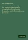 Karl August Wünsche: Der lebensfreudige Jesus der synoptischen Evangelien im Gegensatze zum leidenden Messias der Kirche, Buch