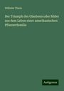 Wilhelm Thiele: Der Triumph des Glaubens oder Bilder aus dem Leben einer amerikanischen Pflanzerfamilie, Buch