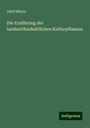Adolf Mayer: Die Ernährung der landwirthschaftlichen Kulturpflanzen, Buch