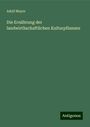 Adolf Mayer: Die Ernährung der landwirthschaftlichen Kulturpflanzen, Buch