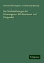 Hermann Emminghaus: Die Geistesstörungen der Schwangeren, Wöchnerinnen und Säugenden, Buch